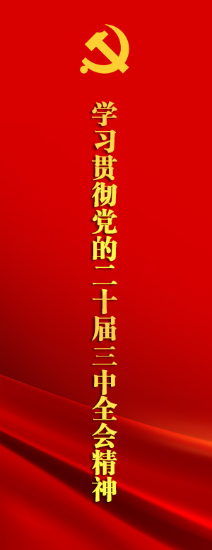 學習貫徹黨的二十屆三中全會精神